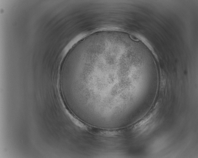 X0000062871245200601171413