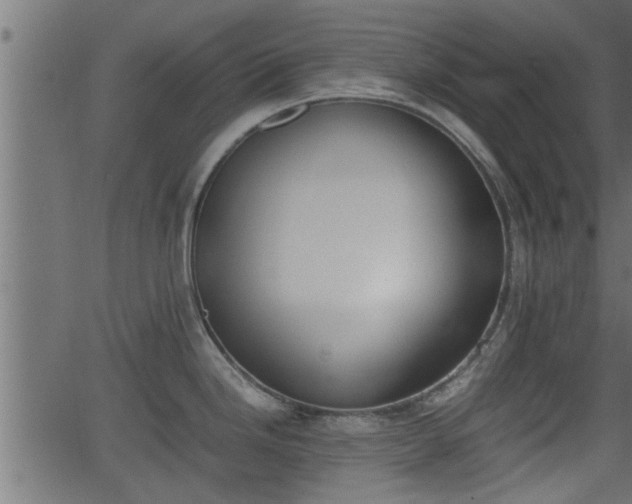 X0000062871246200601171413