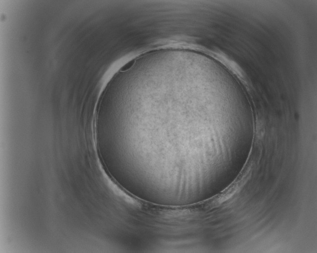 X0000062871247200601171413