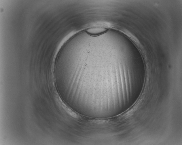 X0000062871248200601171413