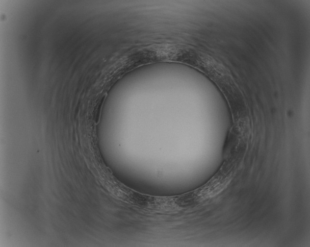 X0000062871249200601171412