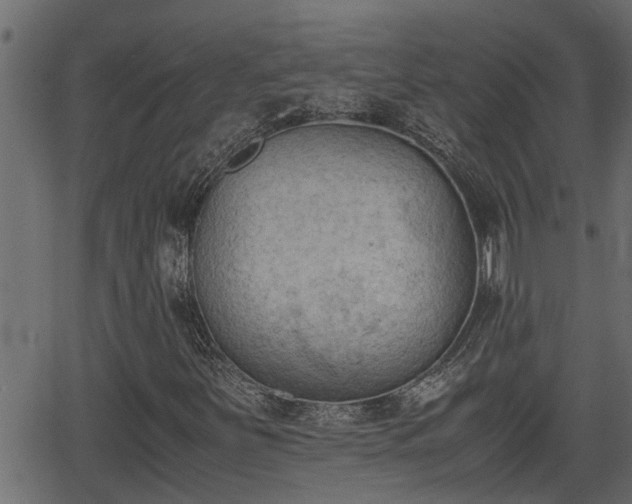 X0000062871251200601171412