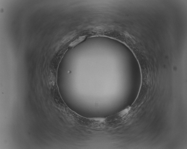 X0000062871253200601171412