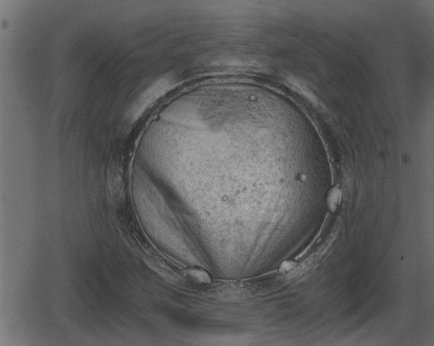 X0000062871259200601171412