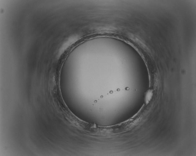 X0000062871261200601171412