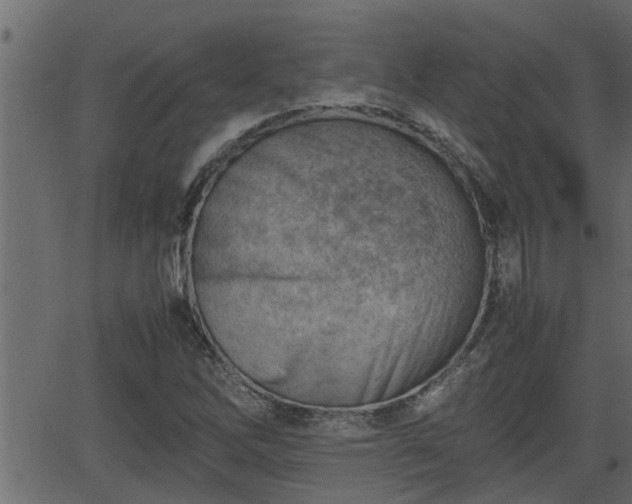 X0000062871262200601171412