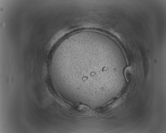 X0000062871263200601171412