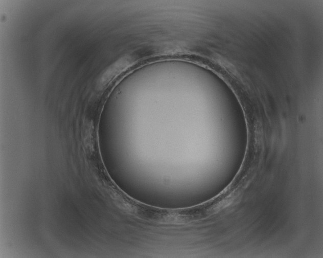 X0000062871265200601171412