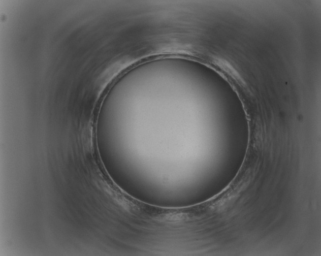 X0000062871268200601171412