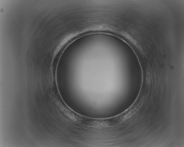 X0000062871270200601171412