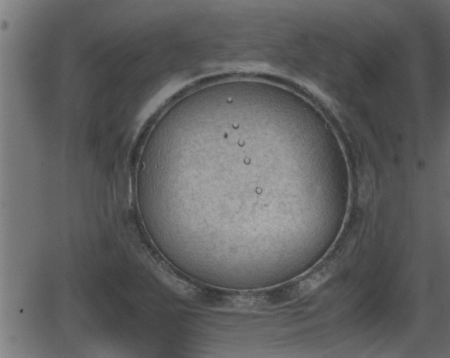 X0000062871271200601171412