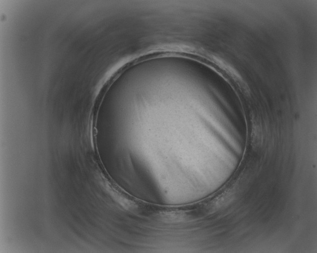 X0000062871272200601171412