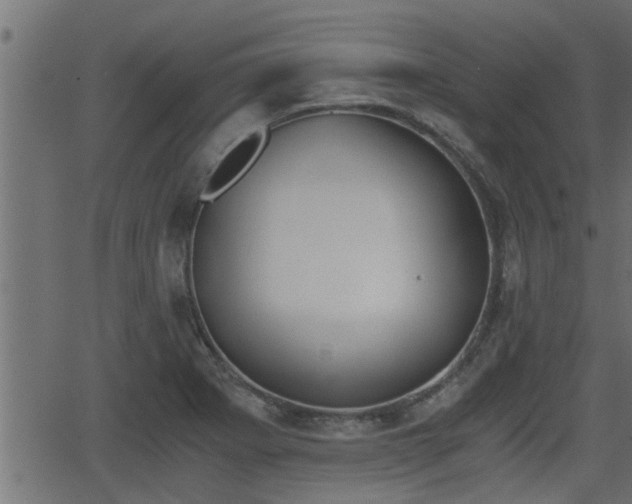 X0000062871273200601171412