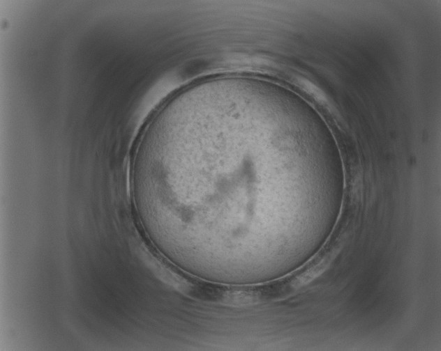 X0000062871275200601171412