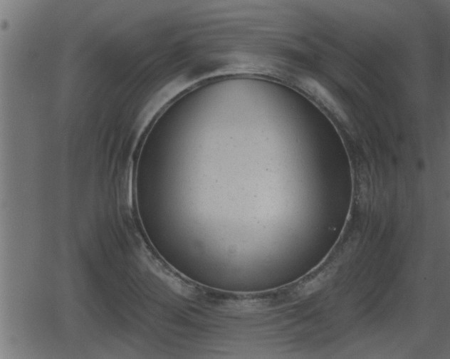 X0000062871276200601171412