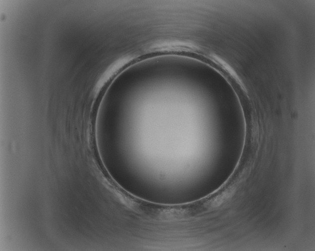 X0000062871277200601171412