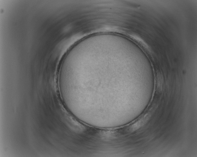 X0000062871278200601171412