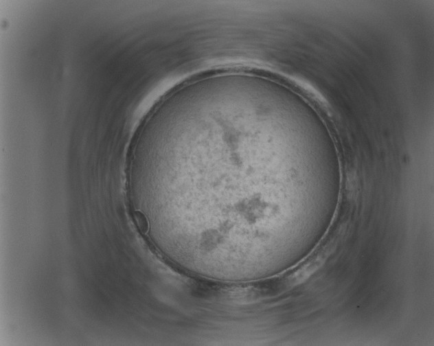 X0000062871279200601171412