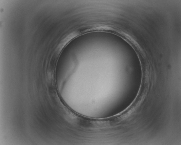 X0000062871281200601171412