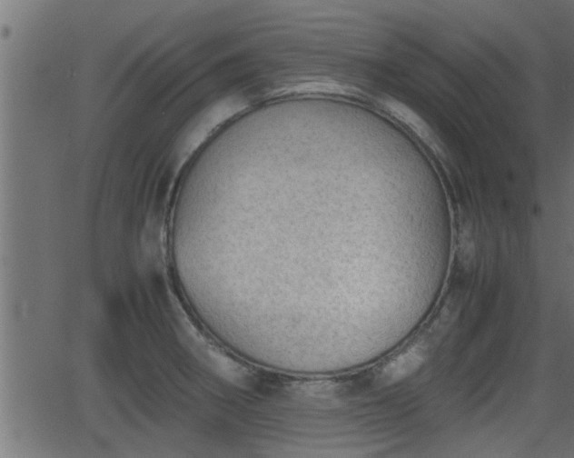 X0000062871282200601171412