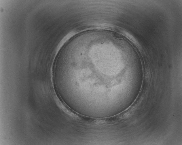 X0000062871283200601171412