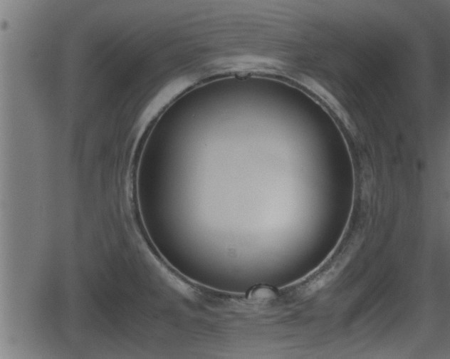 X0000062871285200601171412