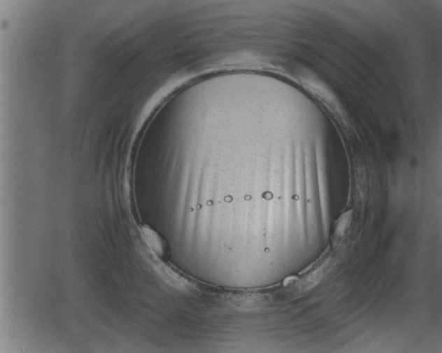 X0000062871288200601171411