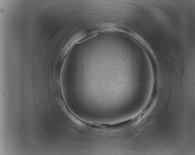 X0000062871289200601171411