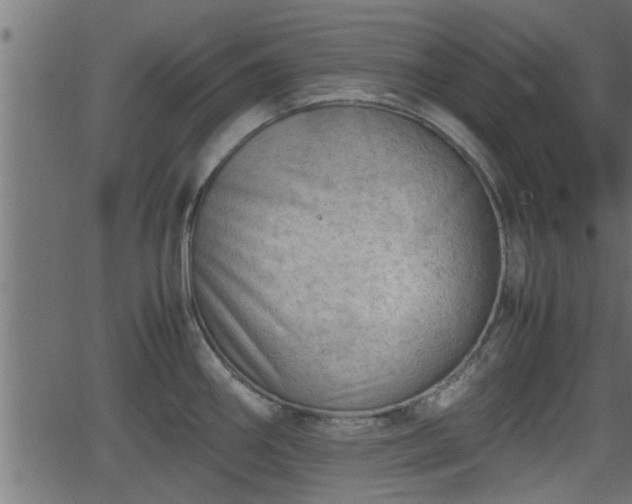 X0000062871290200601171411