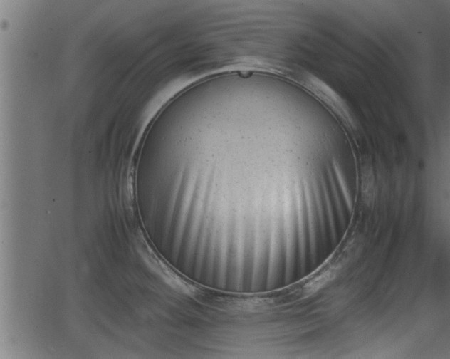 X0000062871292200601171411