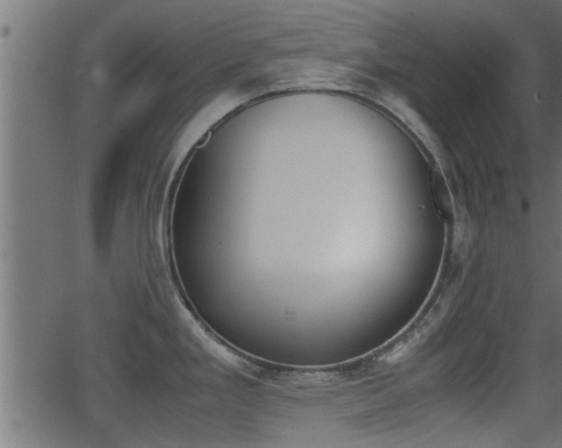 X0000062871293200601171411