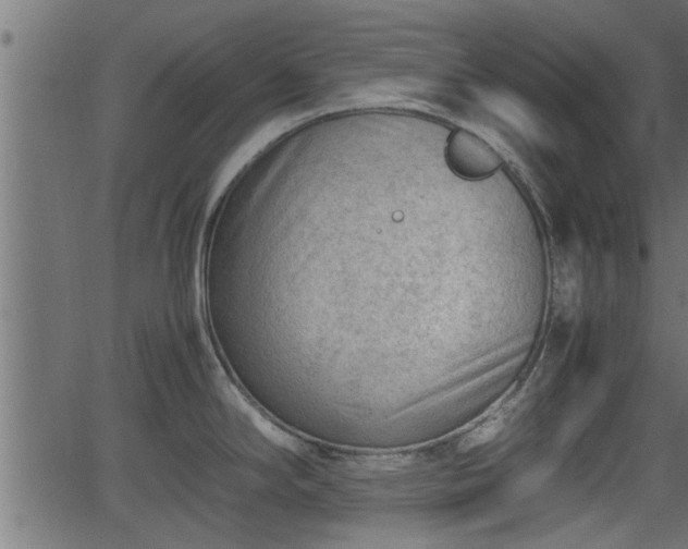 X0000062871294200601171411