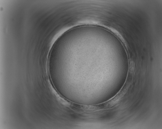 X0000062871295200601171411