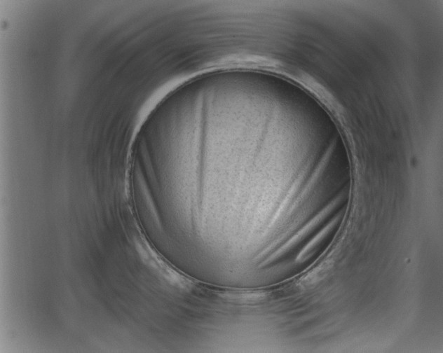 X0000062871296200601171411