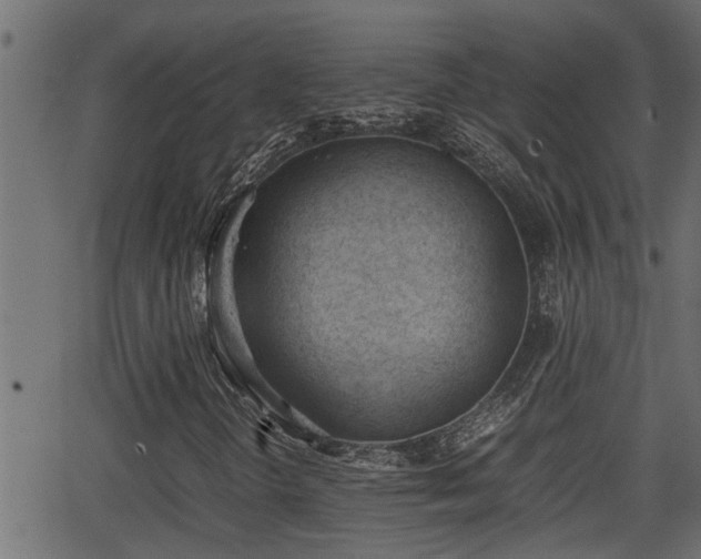 X0000062871298200601171411