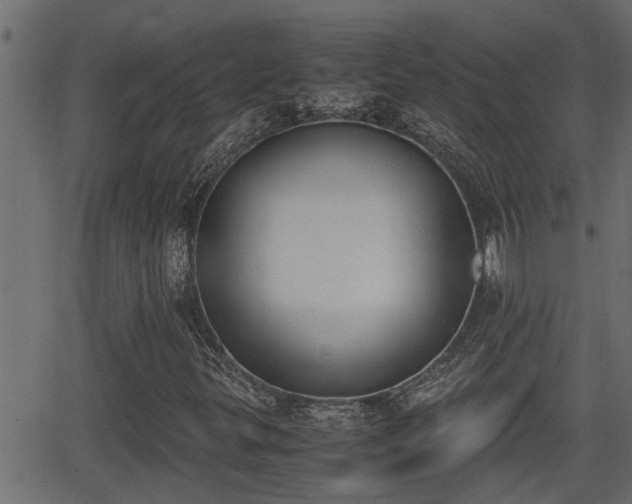 X0000062871299200601171411