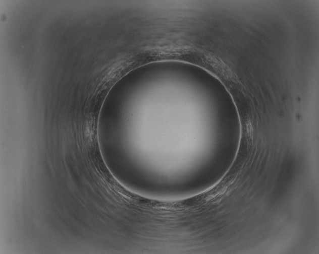 X0000062871300200601171411