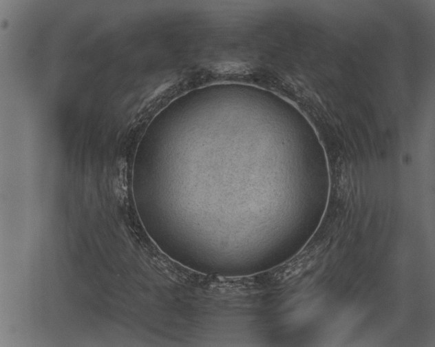 X0000062871301200601171411