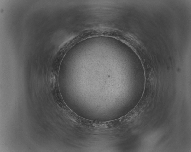 X0000062871302200601171411