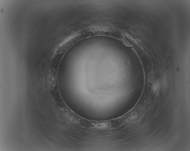 X0000062871303200601171411