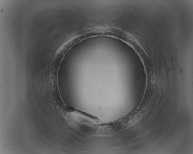 X0000062871304200601171411