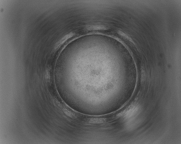 X0000062871305200601171411