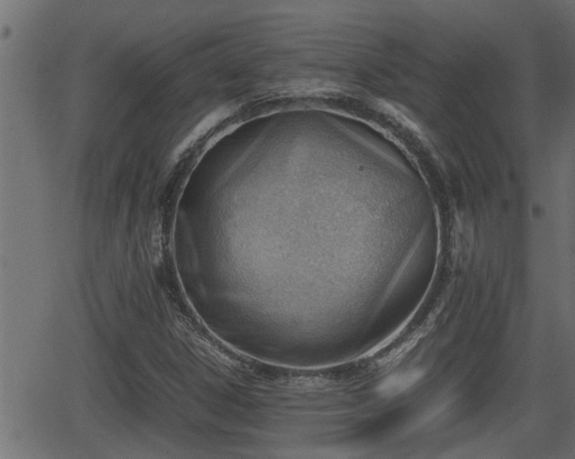 X0000062871306200601171411