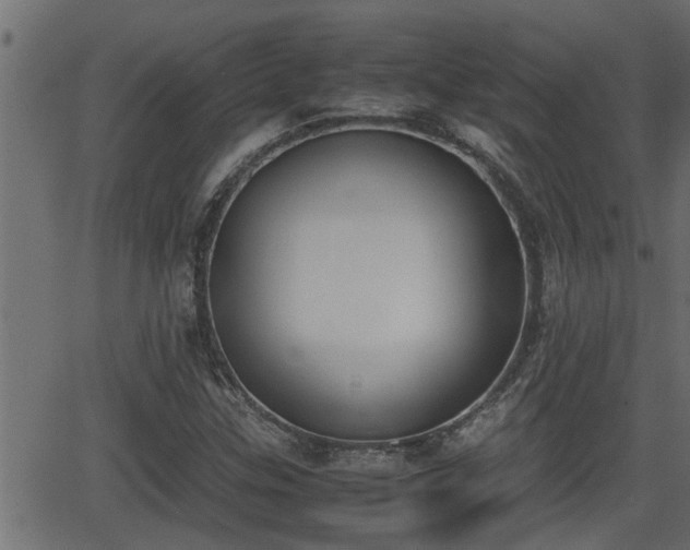 X0000062871307200601171411