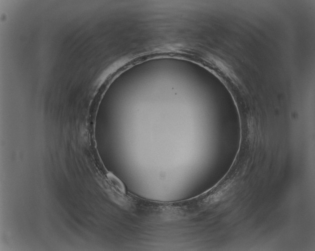 X0000062871308200601171411