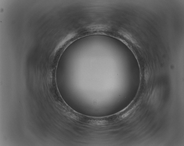 X0000062871309200601171411