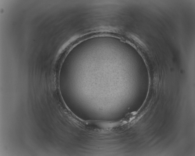 X0000062871310200601171411