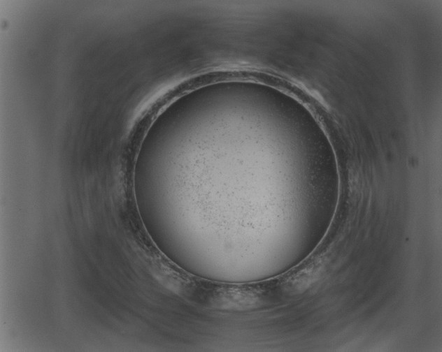 X0000062871311200601171411