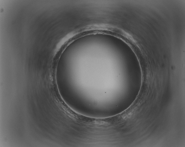 X0000062871312200601171411