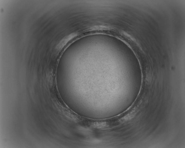 X0000062871313200601171411